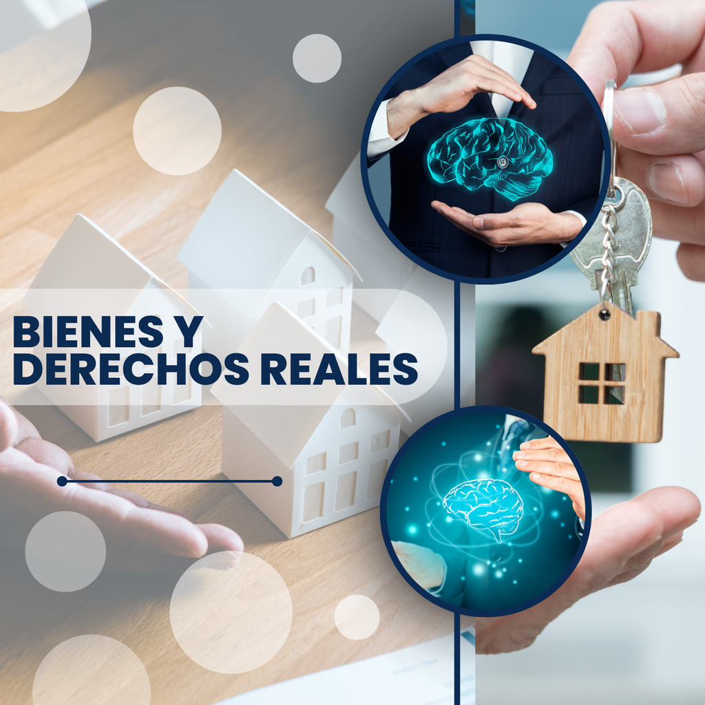 BIENES Y DERECHOS REALES