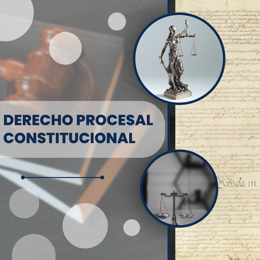 DERECHO PROCESAL CONSTITUCIONAL