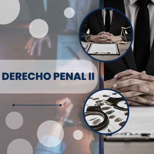 DERECHO PENAL II