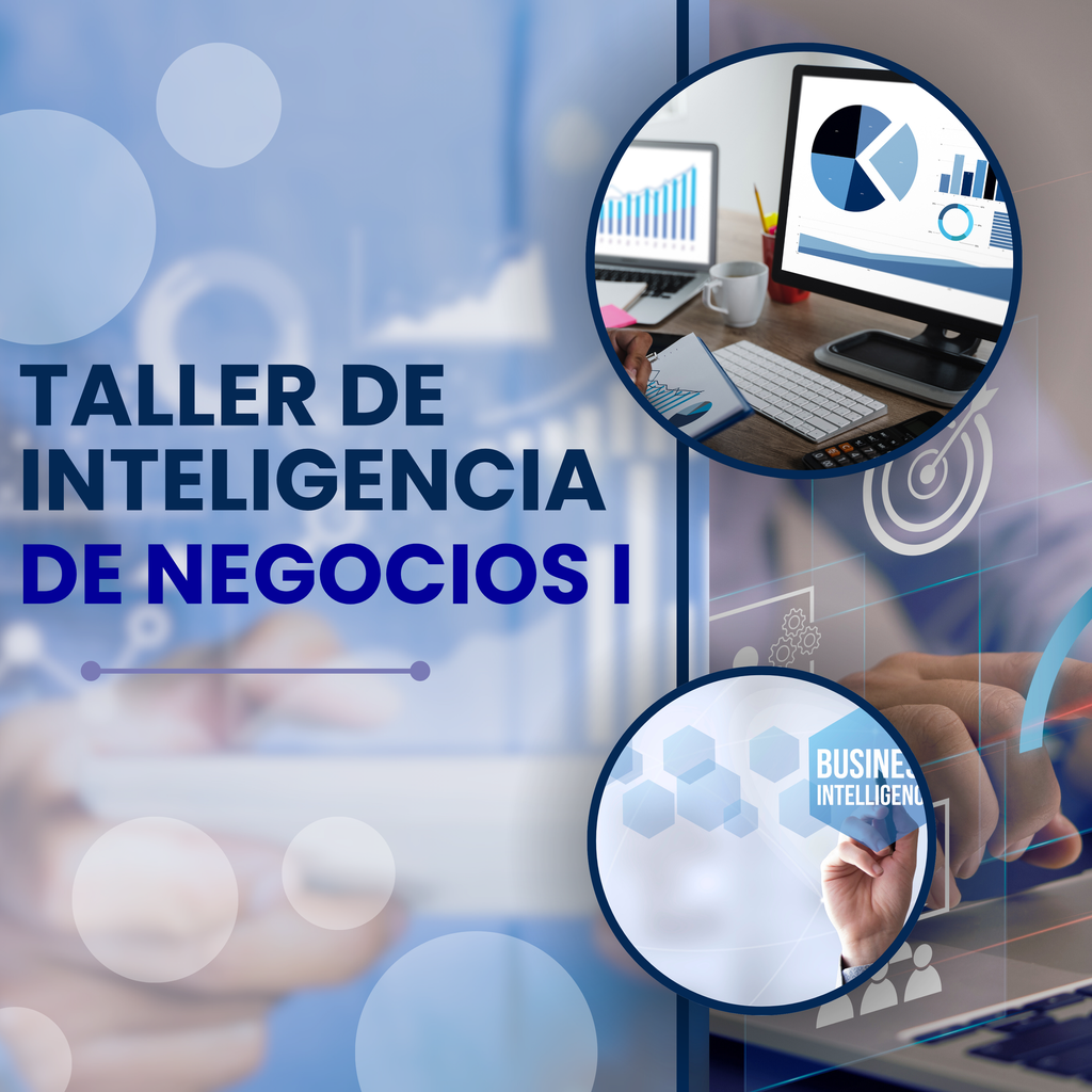 TALLER DE INTELIGENCIA DE NEGOCIOS I